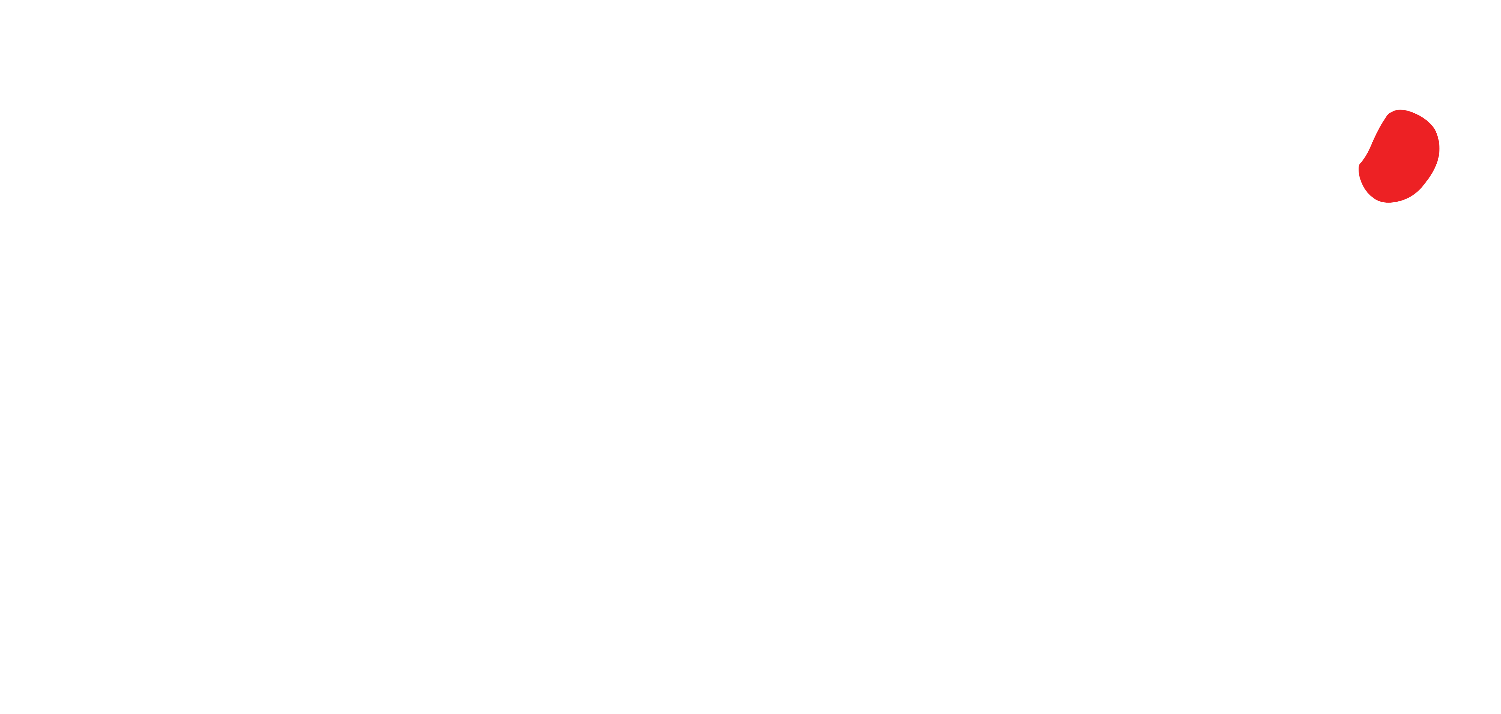 Logo tojumi Pro